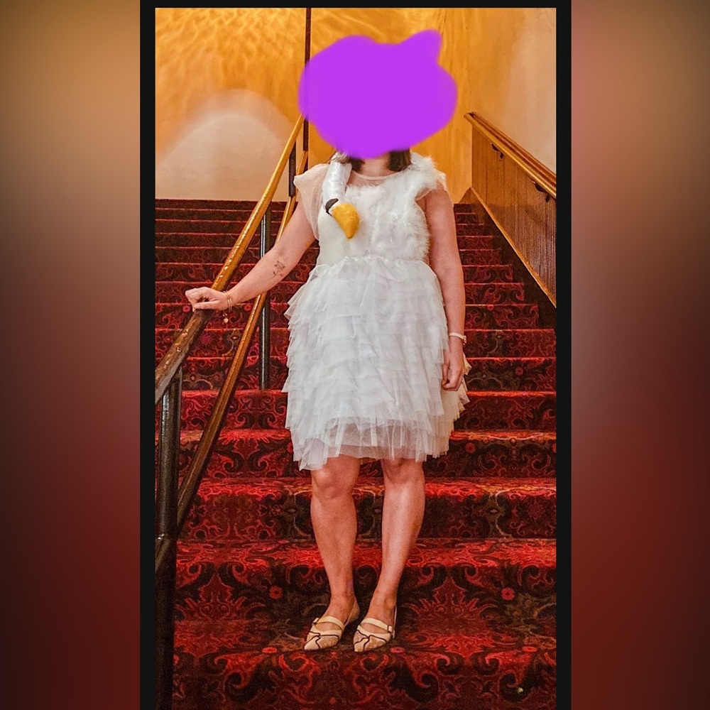 Bjork Swan 🦢 Dress Costume Size S-M Halloween 🎃